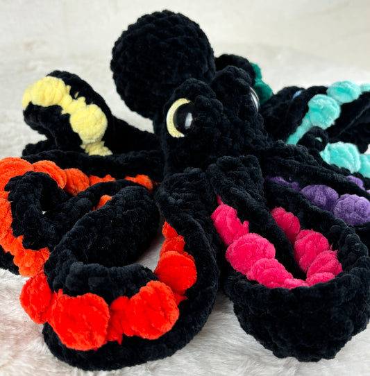 Rainbow Anchor Octopus