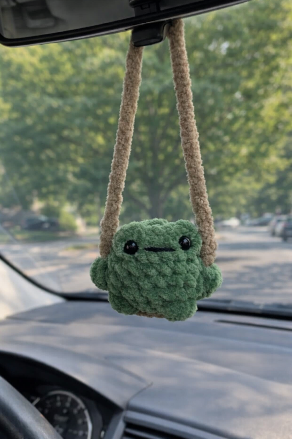 Pocket Frog