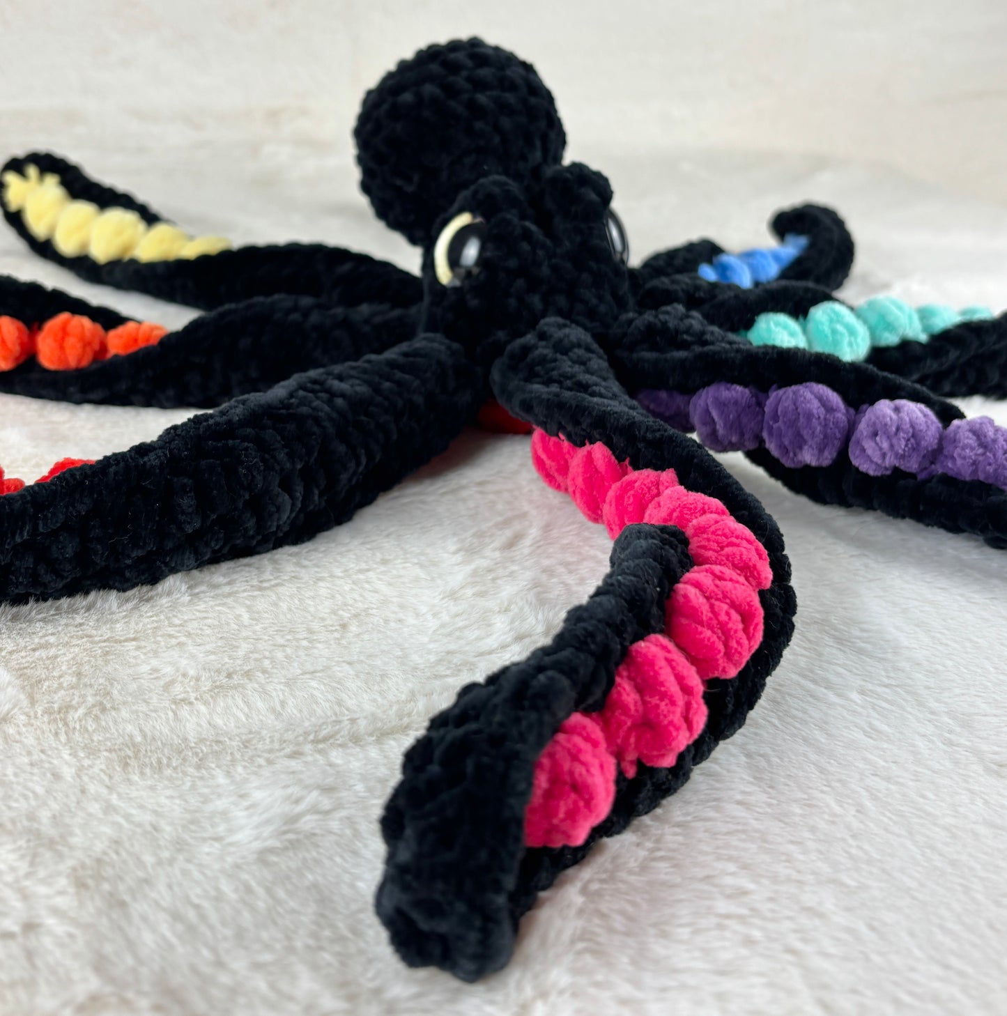 Rainbow Anchor Octopus
