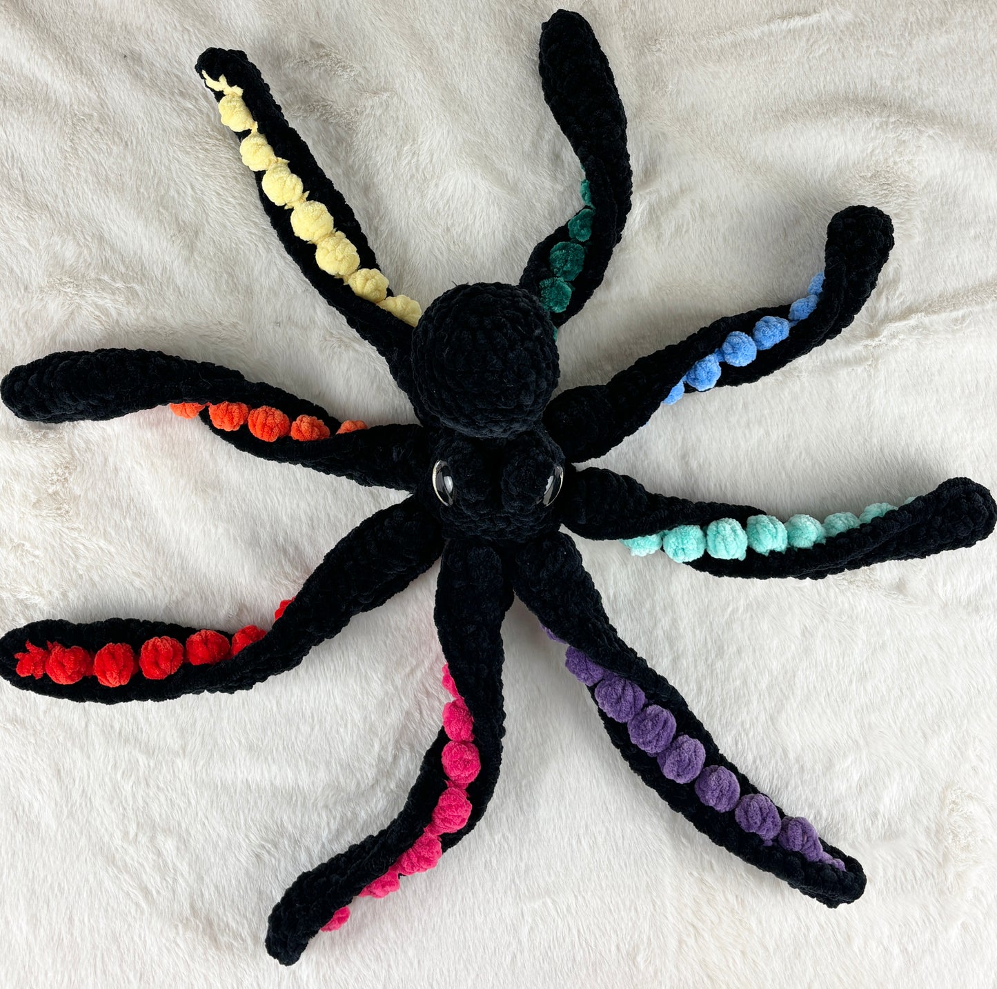 Rainbow Anchor Octopus