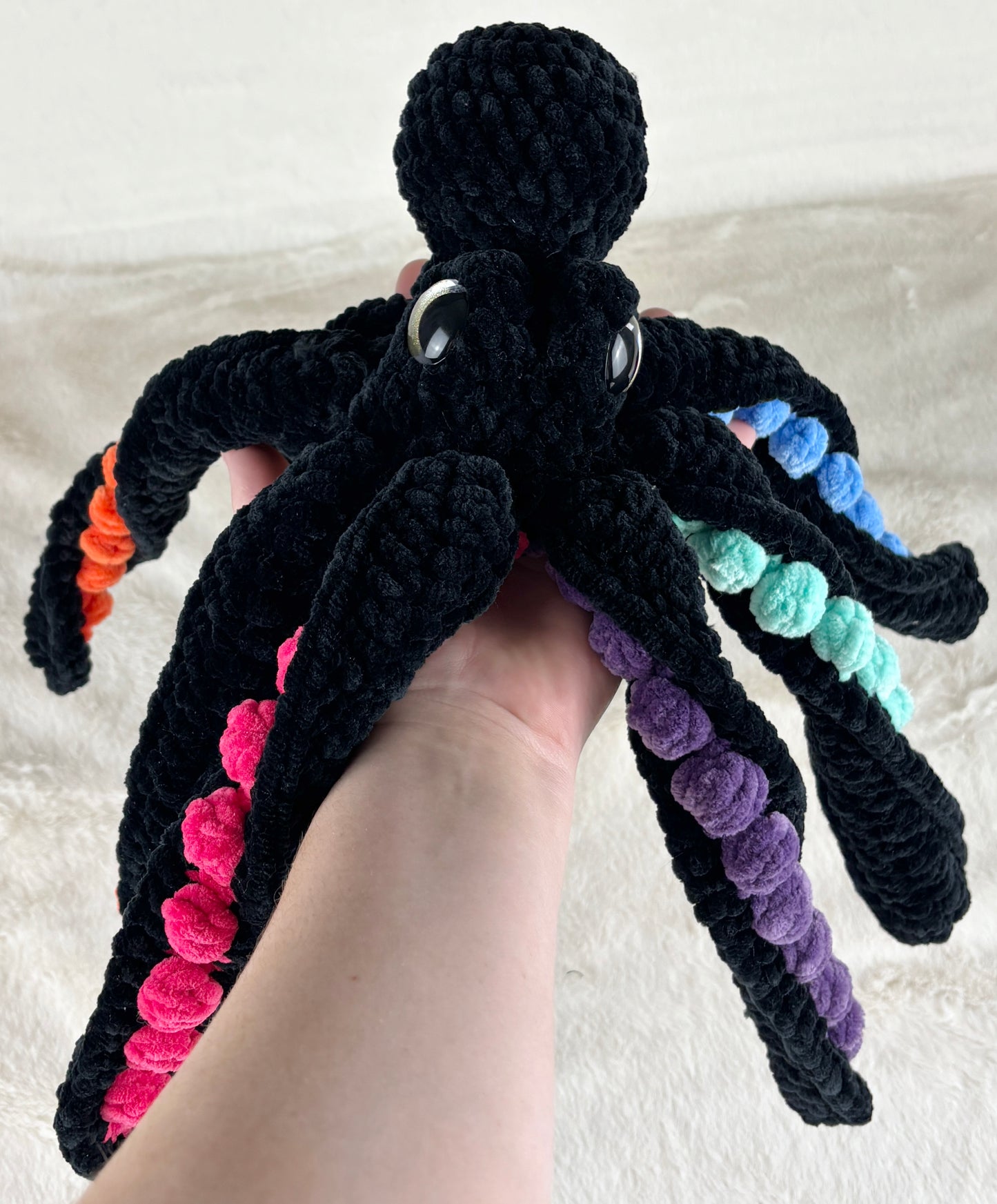 Rainbow Anchor Octopus