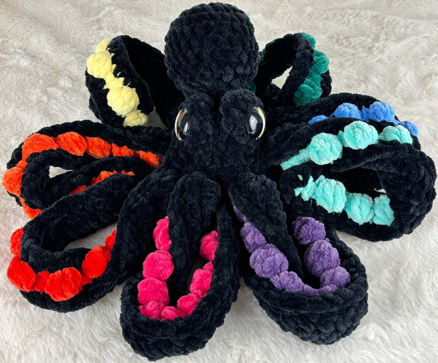 Rainbow Anchor Octopus
