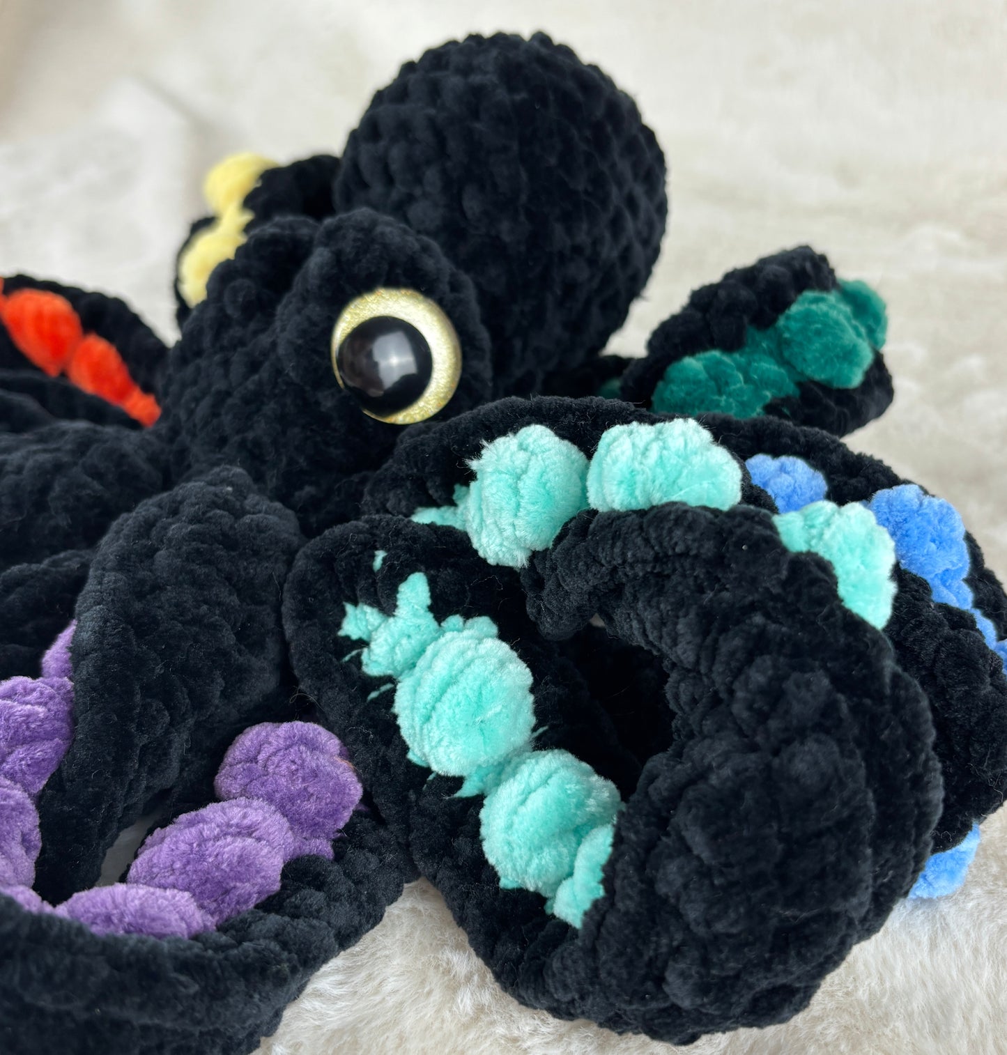 Rainbow Anchor Octopus