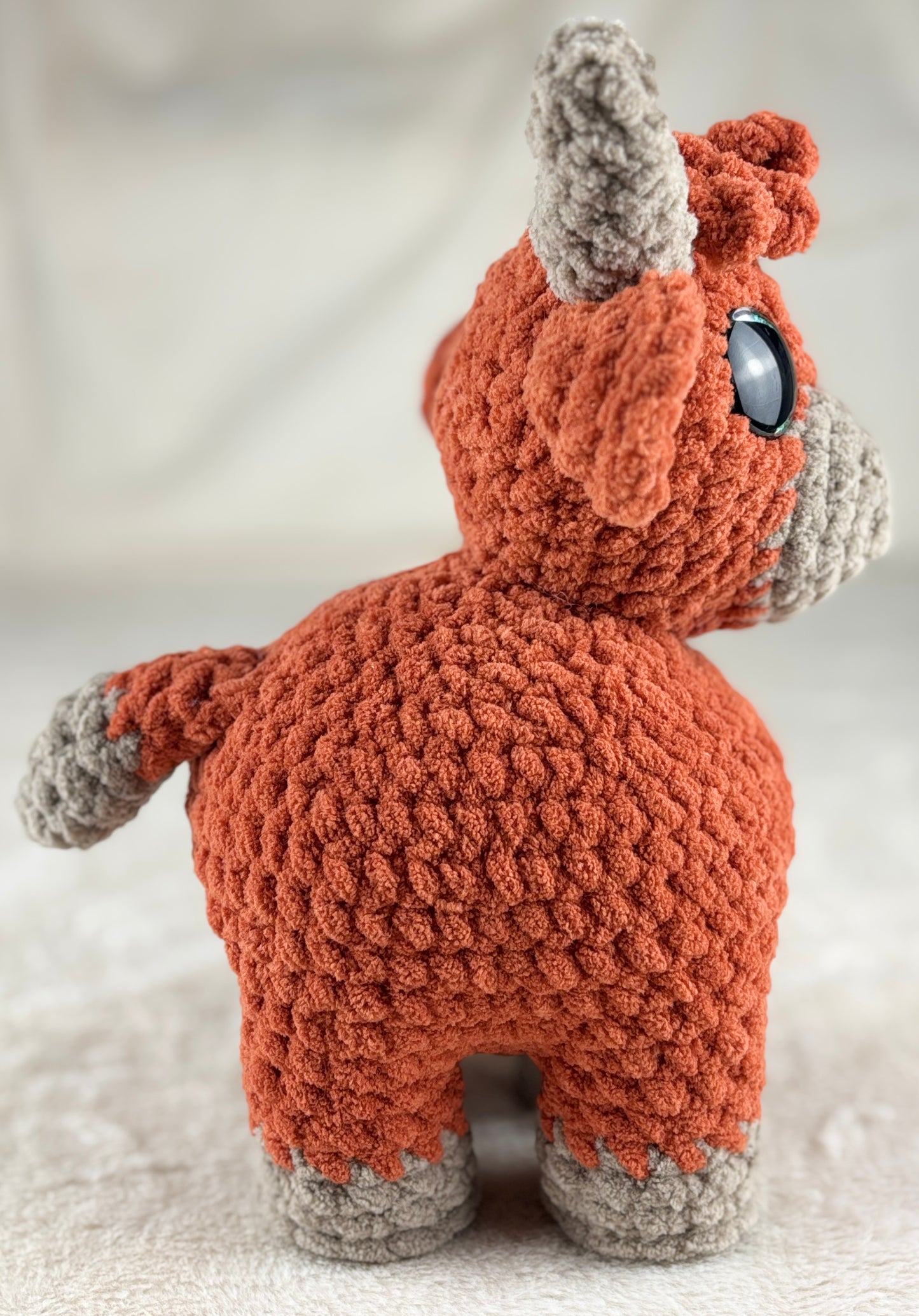 Highland Cow