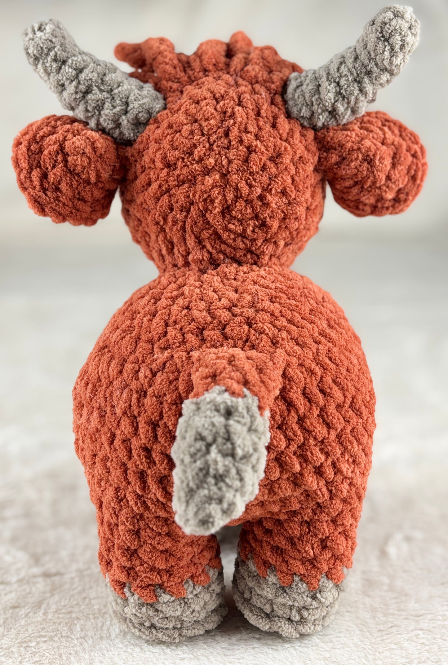 Highland Cow