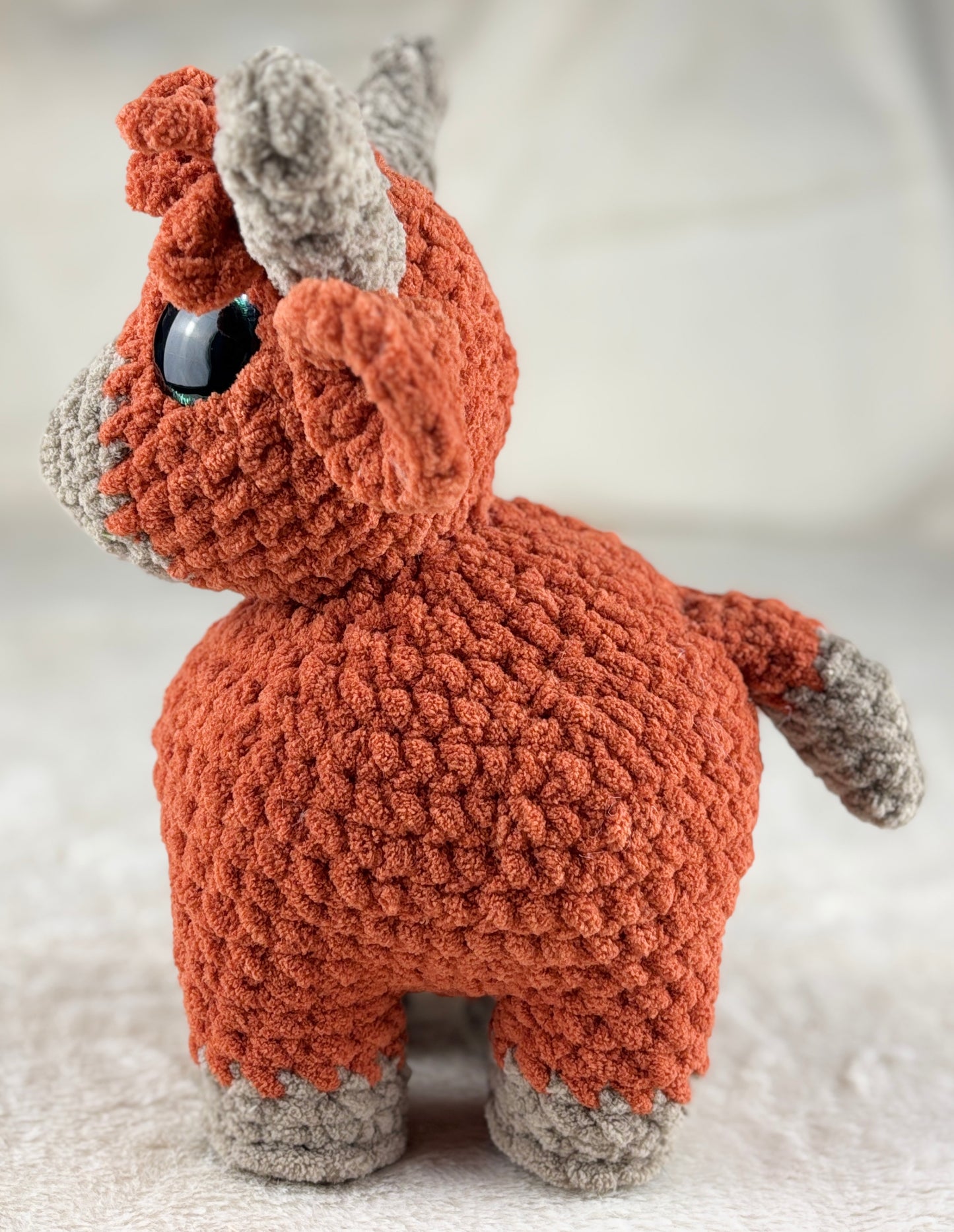 Highland Cow