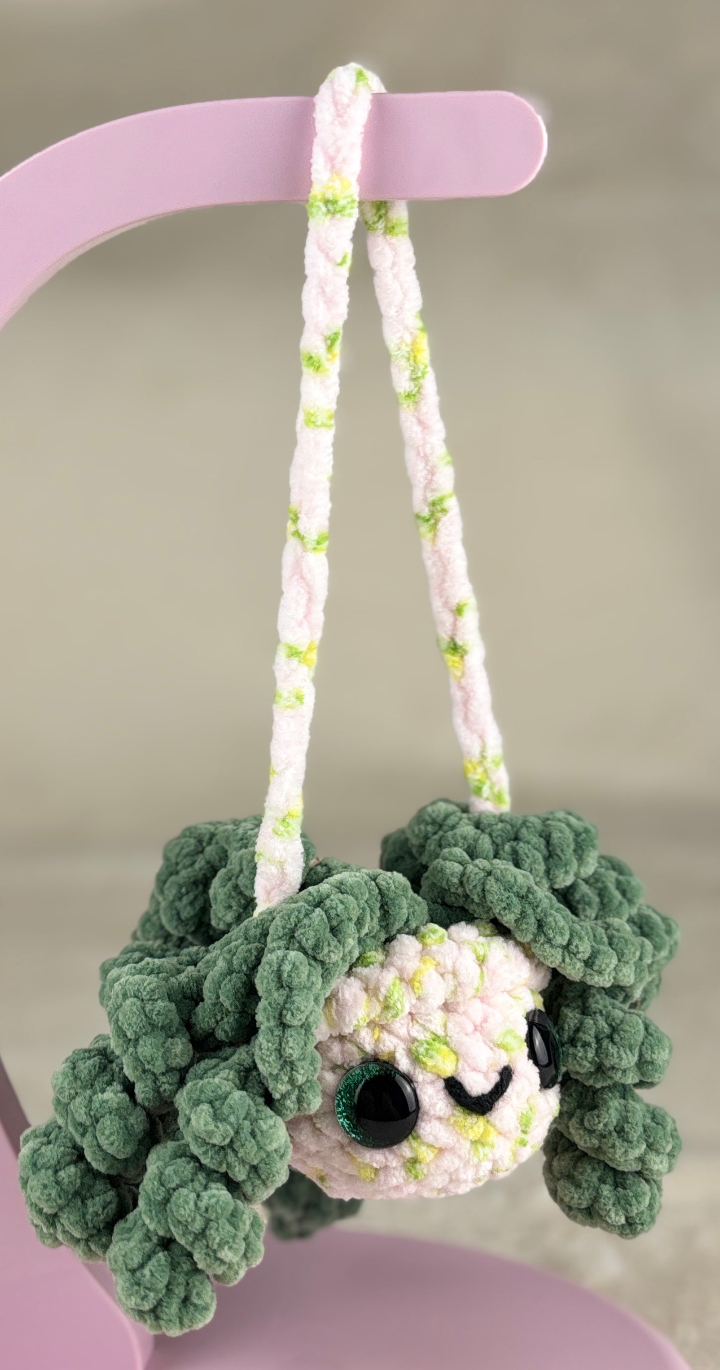 Hanging Plant