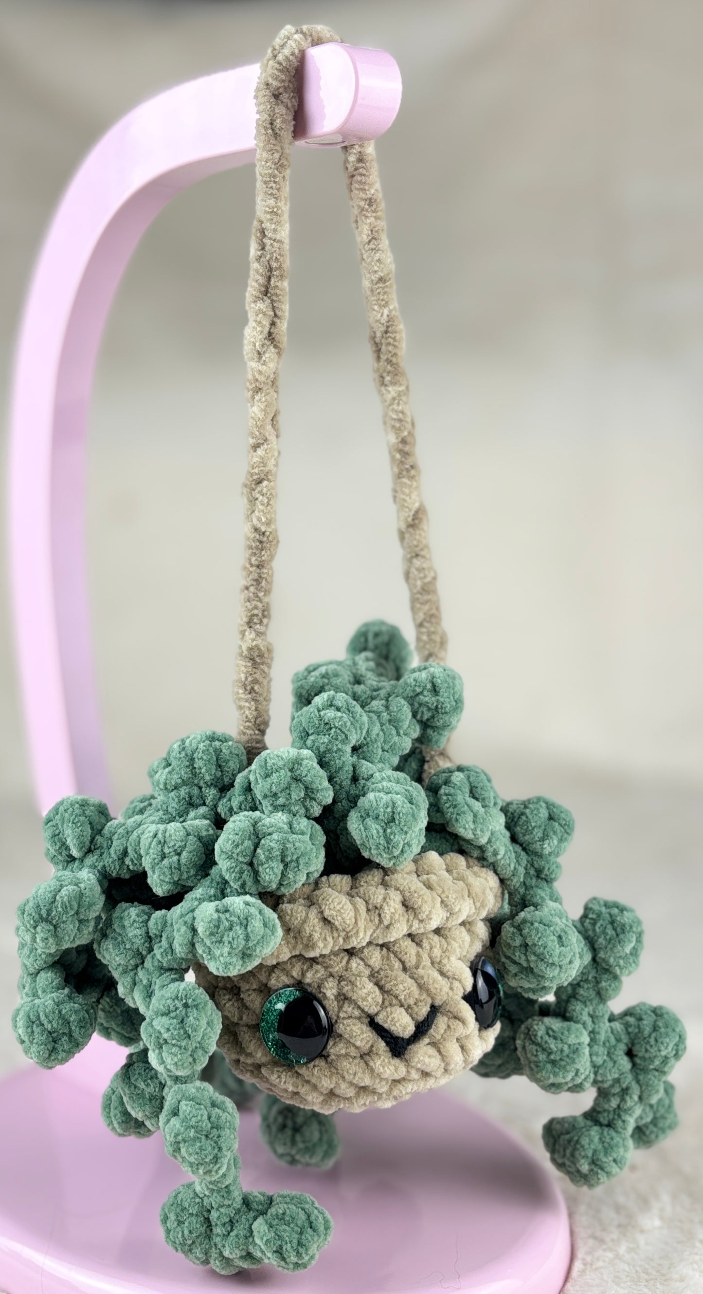 Hanging Plant
