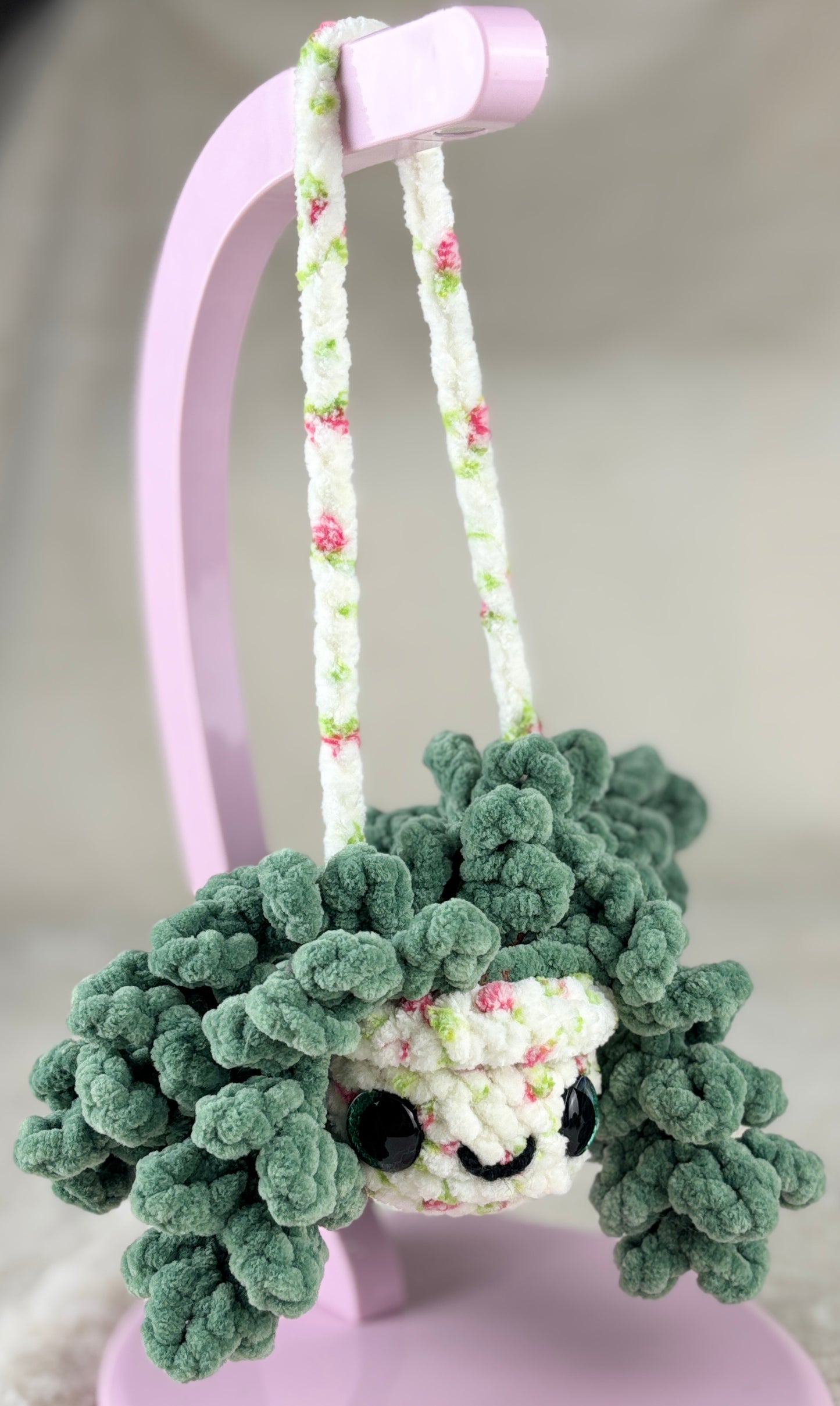 Hanging Plant