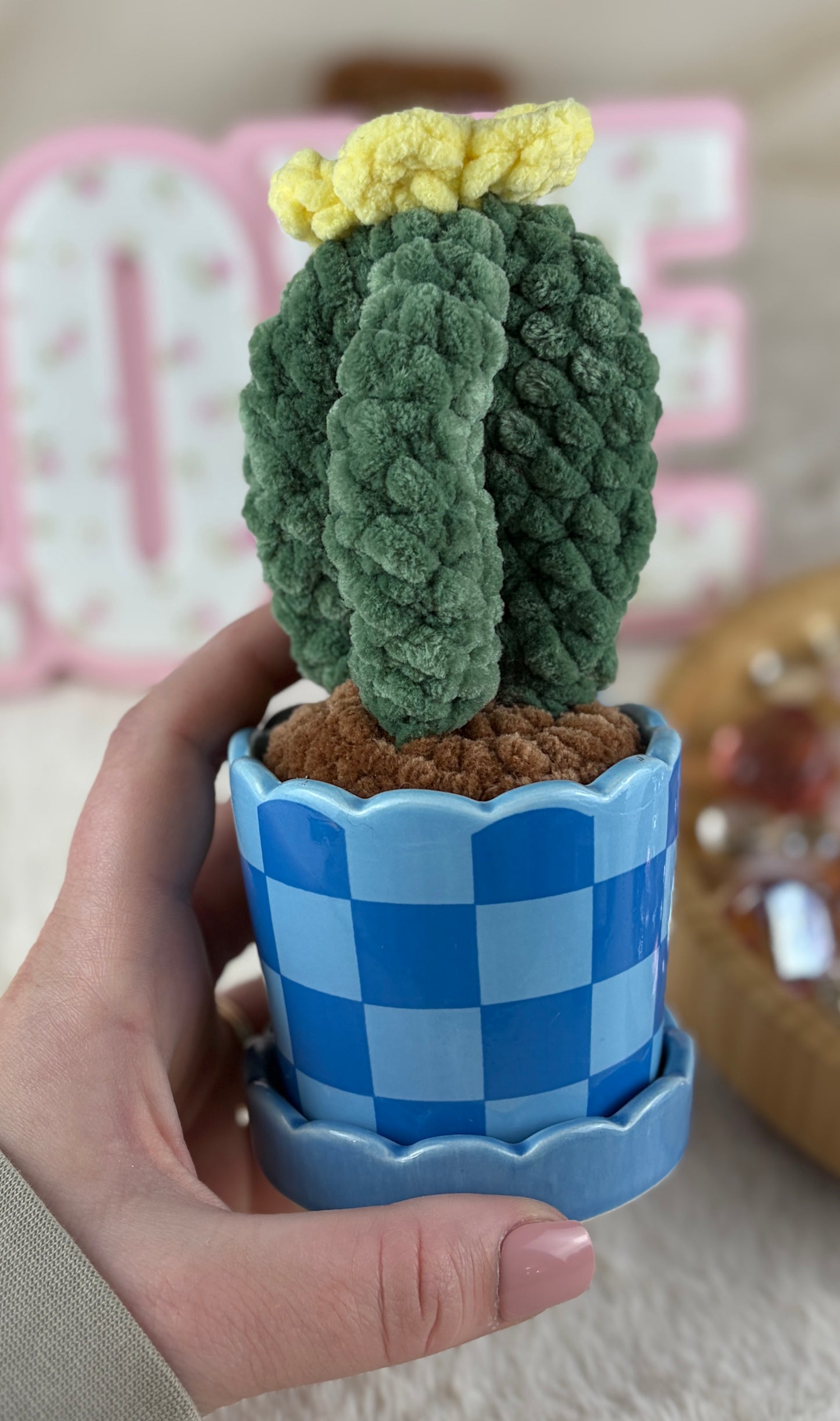 Potted Crochet Plants