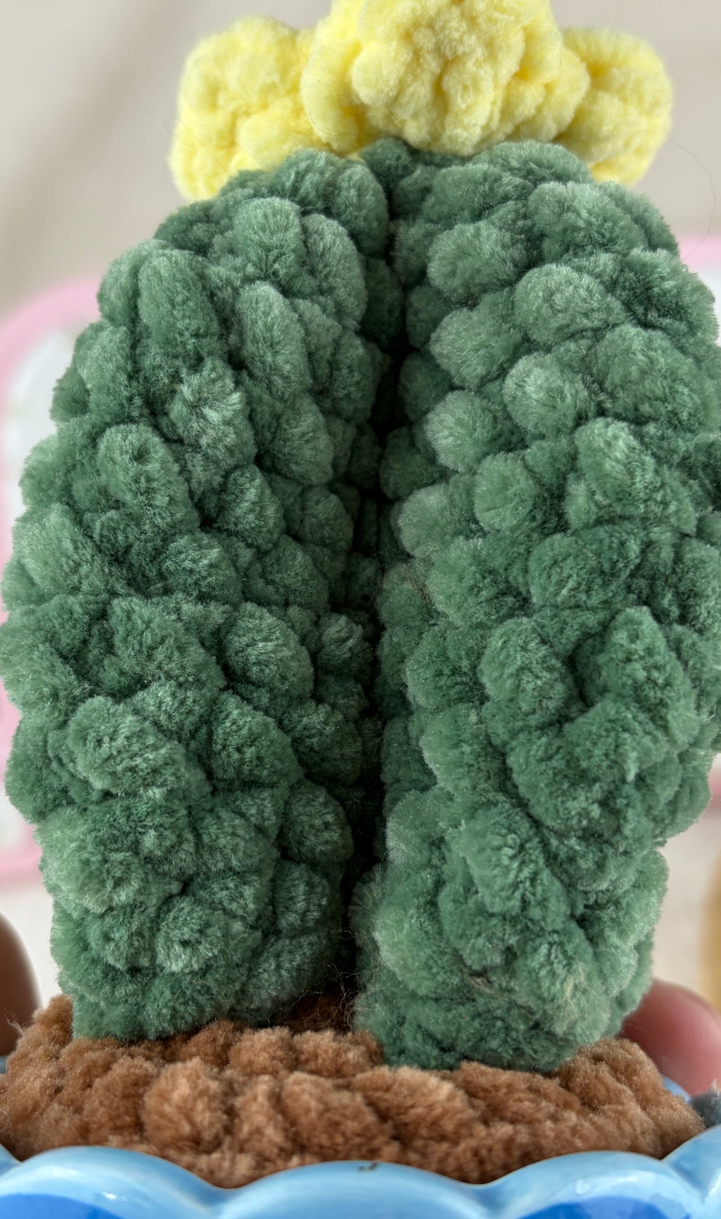 Potted Crochet Plants