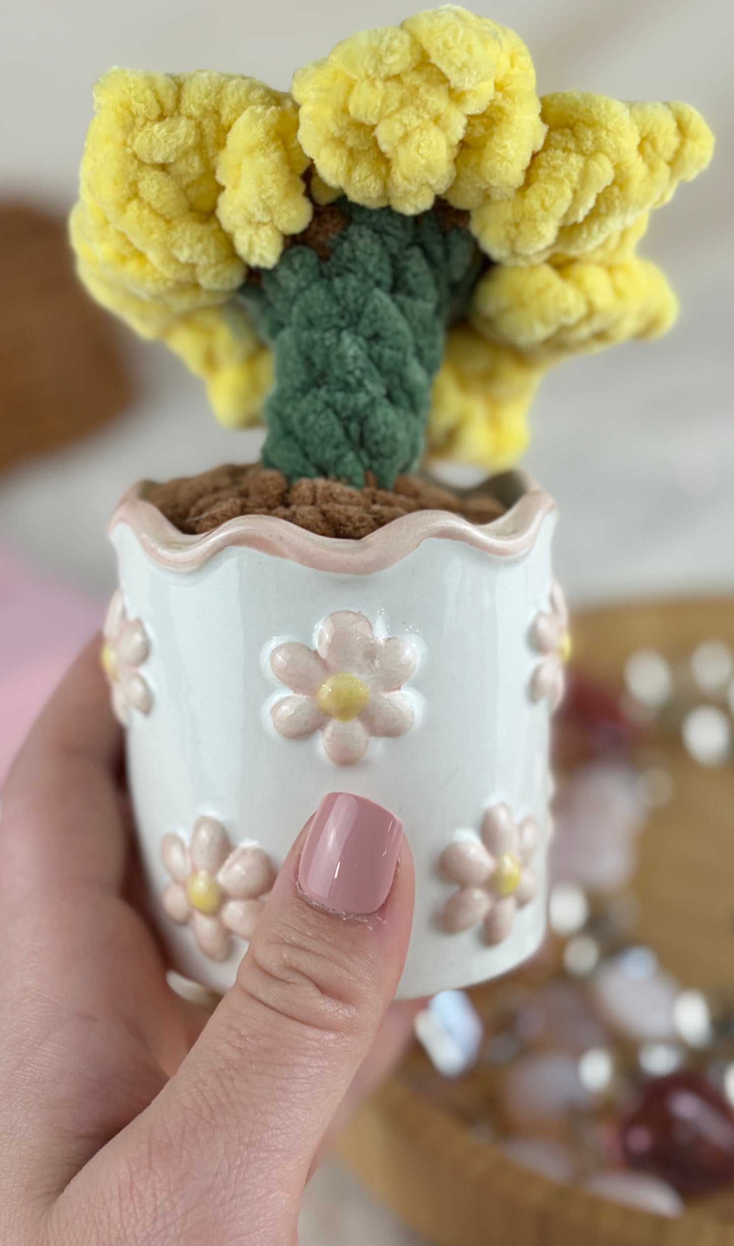 Potted Crochet Plants