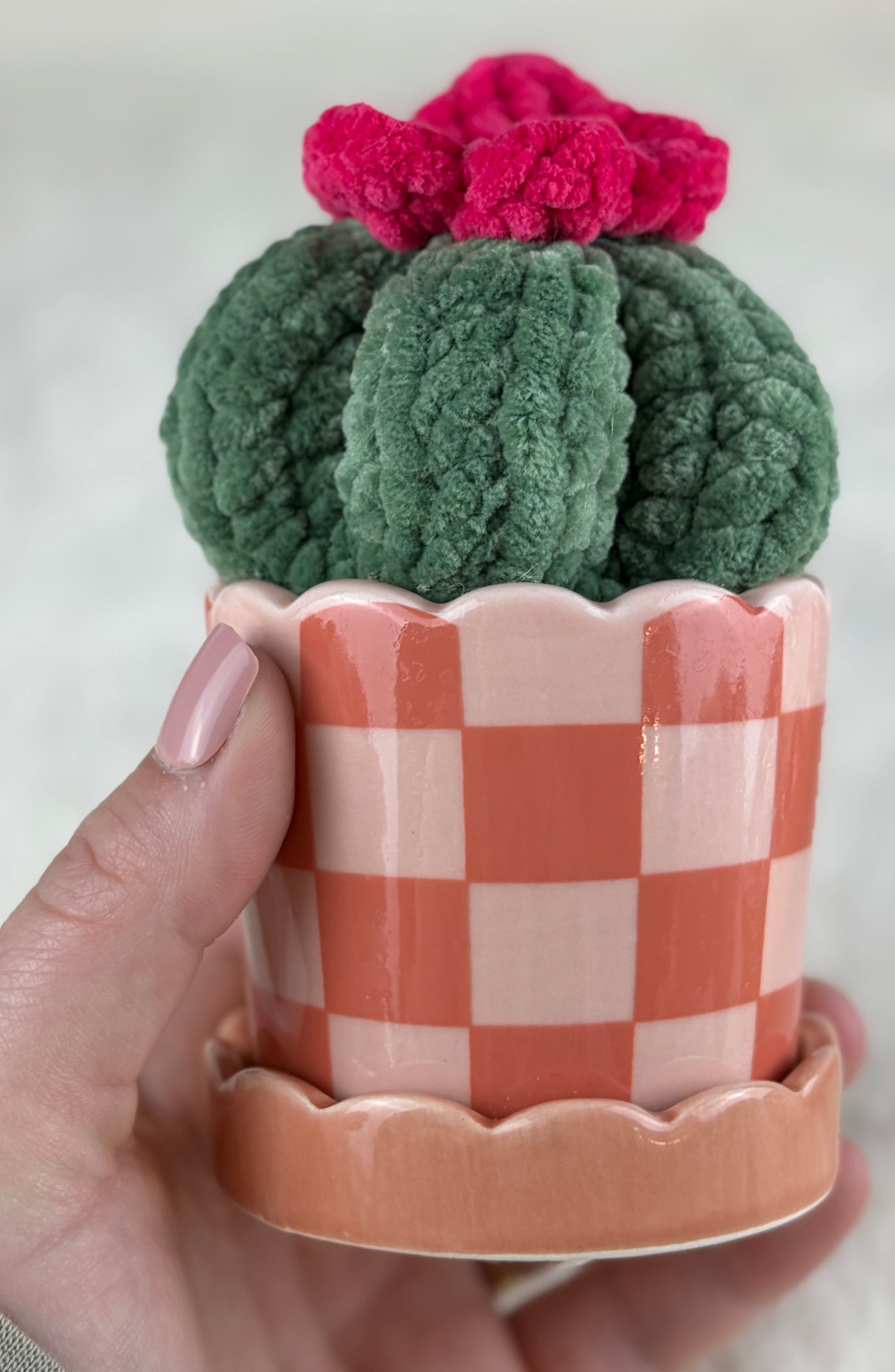 Potted Crochet Plants