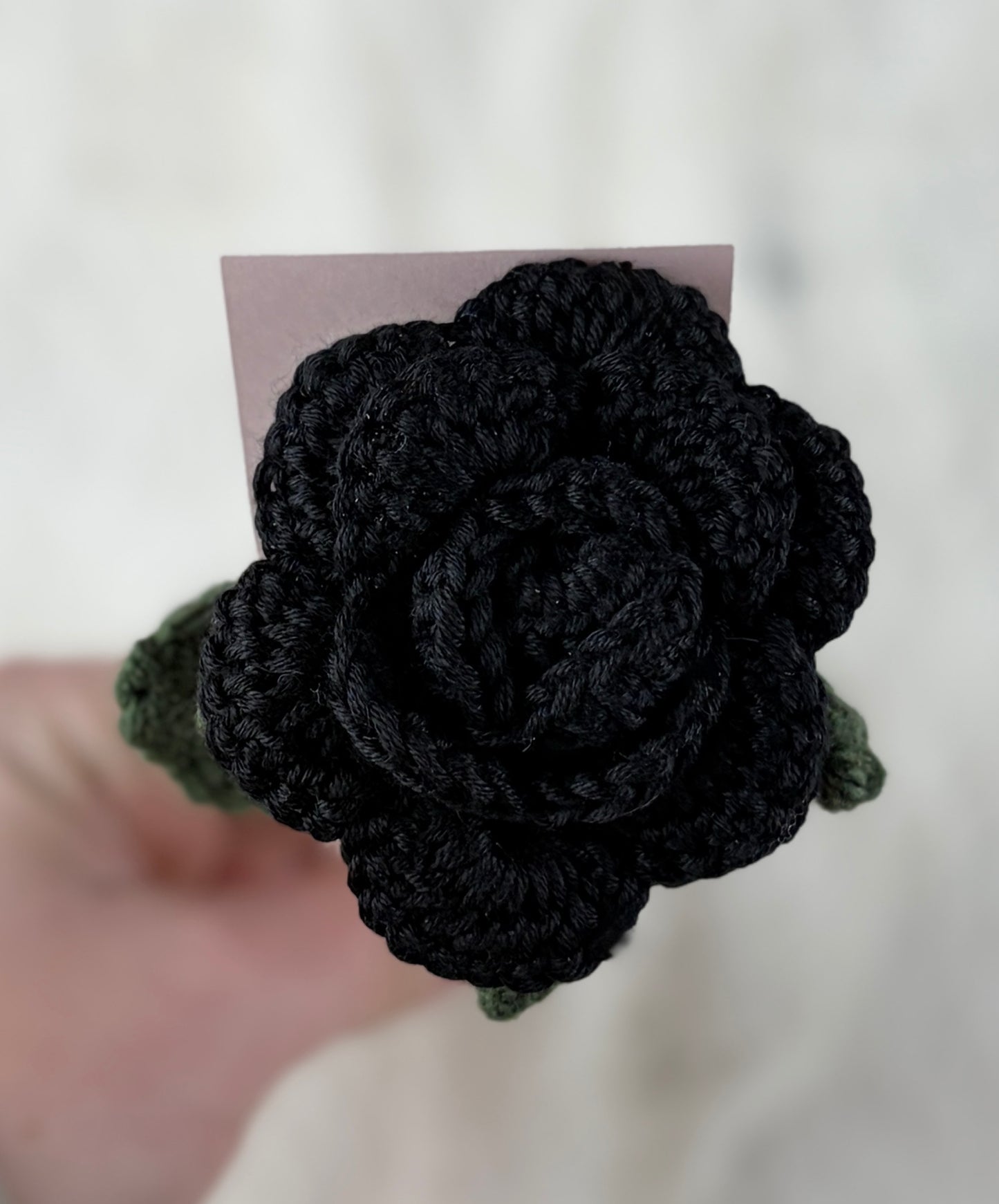 Forever Rose